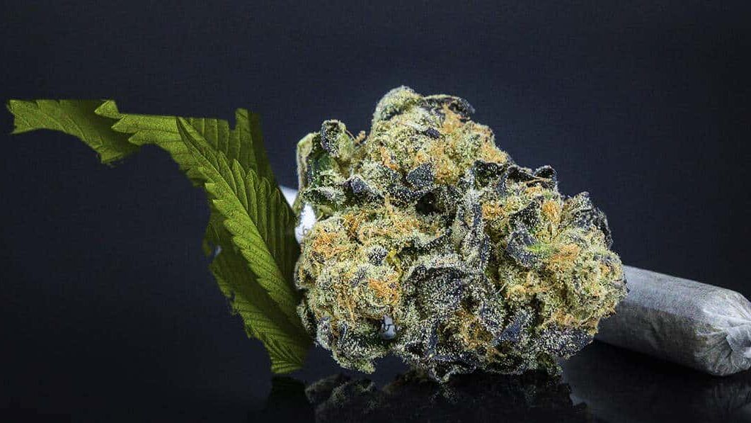 Ingesting Cannabis vs. Smoking It: Exploring Different Consumption Methods