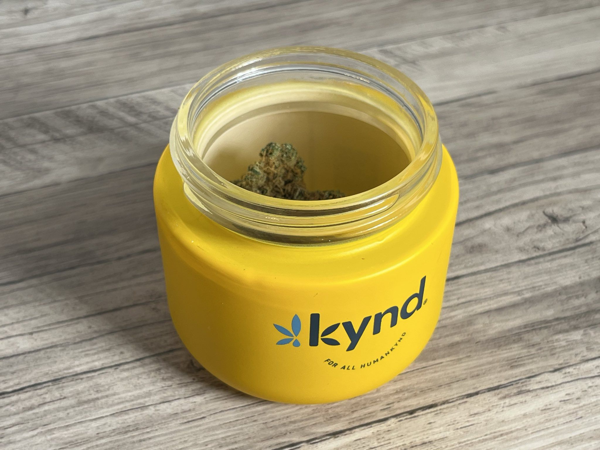 The Potential of Recreational Cannabis Legalization in Florida